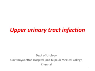 Upper urinary tract infection
Dept of Urology
Govt Royapettah Hospital and Kilpauk Medical College
Chennai
1
 