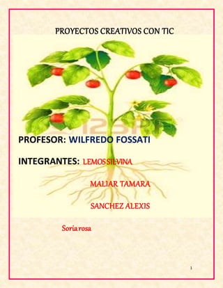 1
PROYECTOS CREATIVOS CON TIC
PROFESOR: WILFREDO FOSSATI
INTEGRANTES: LEMOSSILVINA
MALIAR TAMARA
SANCHEZ ALEXIS
Soriarosa
 