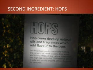 SECOND INGREDIENT: HOPS
 