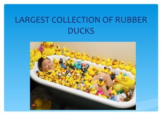 LARGEST COLLECTION OF RUBBER DUCKS 