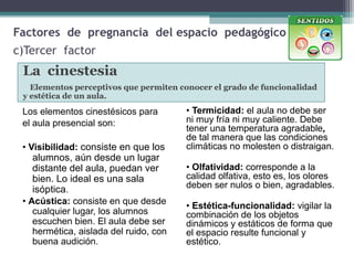 Factores de pregnancia del espacio pedagógico
c)Tercer factor
La cinestesia
Elementos perceptivos que permiten conocer el grado de funcionalidad
y estética de un aula.
Los elementos cinestésicos para
el aula presencial son:
• Visibilidad: consiste en que los
alumnos, aún desde un lugar
distante del aula, puedan ver
bien. Lo ideal es una sala
isóptica.
• Acústica: consiste en que desde
cualquier lugar, los alumnos
escuchen bien. El aula debe ser
hermética, aislada del ruido, con
buena audición.
• Termicidad: el aula no debe ser
ni muy fría ni muy caliente. Debe
tener una temperatura agradable,
de tal manera que las condiciones
climáticas no molesten o distraigan.
• Olfatividad: corresponde a la
calidad olfativa, esto es, los olores
deben ser nulos o bien, agradables.
• Estética-funcionalidad: vigilar la
combinación de los objetos
dinámicos y estáticos de forma que
el espacio resulte funcional y
estético.
 