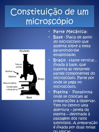 Constituição de um microscópio Parte Mecânica: Base  - Placa de apoio do microscópio que assenta sobre a mesa garantindo-lhe estabilidade; Braço  - Haste vertical , fixada à base, que suporta as restantes partes componentes do microscópio. Parte por onde se pega no microscópio; Platina  -  Plataforma onde se colocam as preparações a observar. Tem no centro uma abertura – janela da platina – destinada à passagem dos raios luminosos. A preparação é fixada por duas molas ou pinças.  