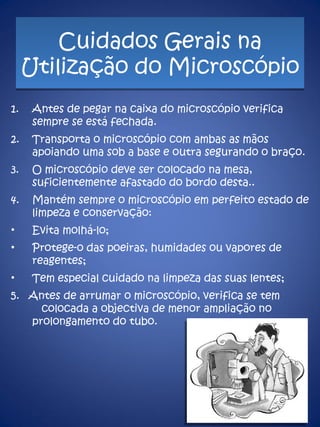 Cuidados Gerais na Utilização do Microscópio Antes de pegar na caixa do microscópio verifica sempre se está fechada. Transporta o microscópio com ambas as mãos apoiando uma sob a base e outra segurando o braço. O microscópio deve ser colocado na mesa, suficientemente afastado do bordo desta..  Mantém sempre o microscópio em perfeito estado de limpeza e conservação: Evita molhá-lo;  Protege-o das poeiras, humidades ou vapores de reagentes;  Tem especial cuidado na limpeza das suas lentes; 5.  Antes de arrumar o microscópio, verifica se tem  colocada a objectiva de menor ampliação no prolongamento do tubo.  