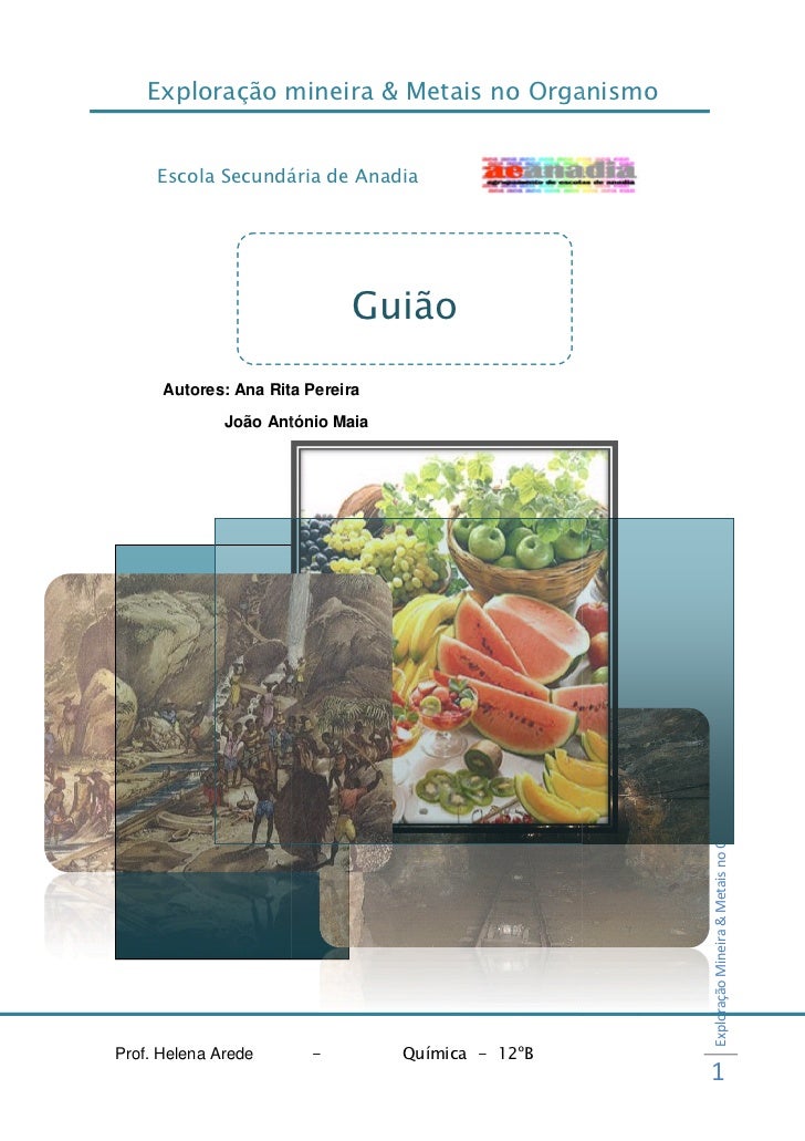 Exploração mineira & Metais no Organismo     Escola Secundária de Anadia                             Guião      Autores: A...