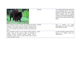 Bisonte Las medidas del bisonte americano
son de alrededor de 7 a 11,5 m de
longitud y pesan entre 930 a 2200
libras, mientras que el bisonte
europeo es de aproximadamente 10
pies de largo y pesa de 660 a 2000
libras
Son mamíferos omnívoros nativos del continente de América
del Norte. Pueden crecer hasta 37 centímetros y pesan entre 20
a 50 libras. Los coyotes, sobre todo, cazan en manadas, lo que
les da la capacidad para derribar animales más grandes que
ellos
Coyote Muy a menudo son vistos
alimentándose de insectos, serpientes,
frutas, hierbas y carroña
Es un mamífero carnívoro con una capa de espinas agudas y
rígidas, nativo de Asia, Europa y África. Se alimentan de
gusanos, insectos, caracoles, ciempiés, ratones, ranas y
serpientes. A pesar de que su vista es débil, tienen un fuerte
sentido del olfato y el oído.
Erizo La capa de agudas y rígidas espinas les
ayuda en la defensa contra los
depredadores.
 