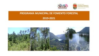 PROGRAMA MUNICIPAL DE FOMENTO FORESTAL
2019-2021
 
