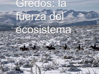Gredos: la 
fuerza del 
ecosistema 
Isabel Sánchez Tejado 
isabelstejado@gmail.com 
 