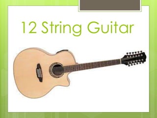 12 String Guitar