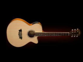 The electro-acoustic guitarThe electro-acoustic guitar isanacousticwith pickups: a microphoneortransducers. They are usedbecause pickups are notcapable of picking up vibrationson non-magneticmaterials. It has 6 strings.Thisguitar requires a preamplifierincorporated in the guitar toamplifythesignalbeforeitgetstothemain guitar amplifier.