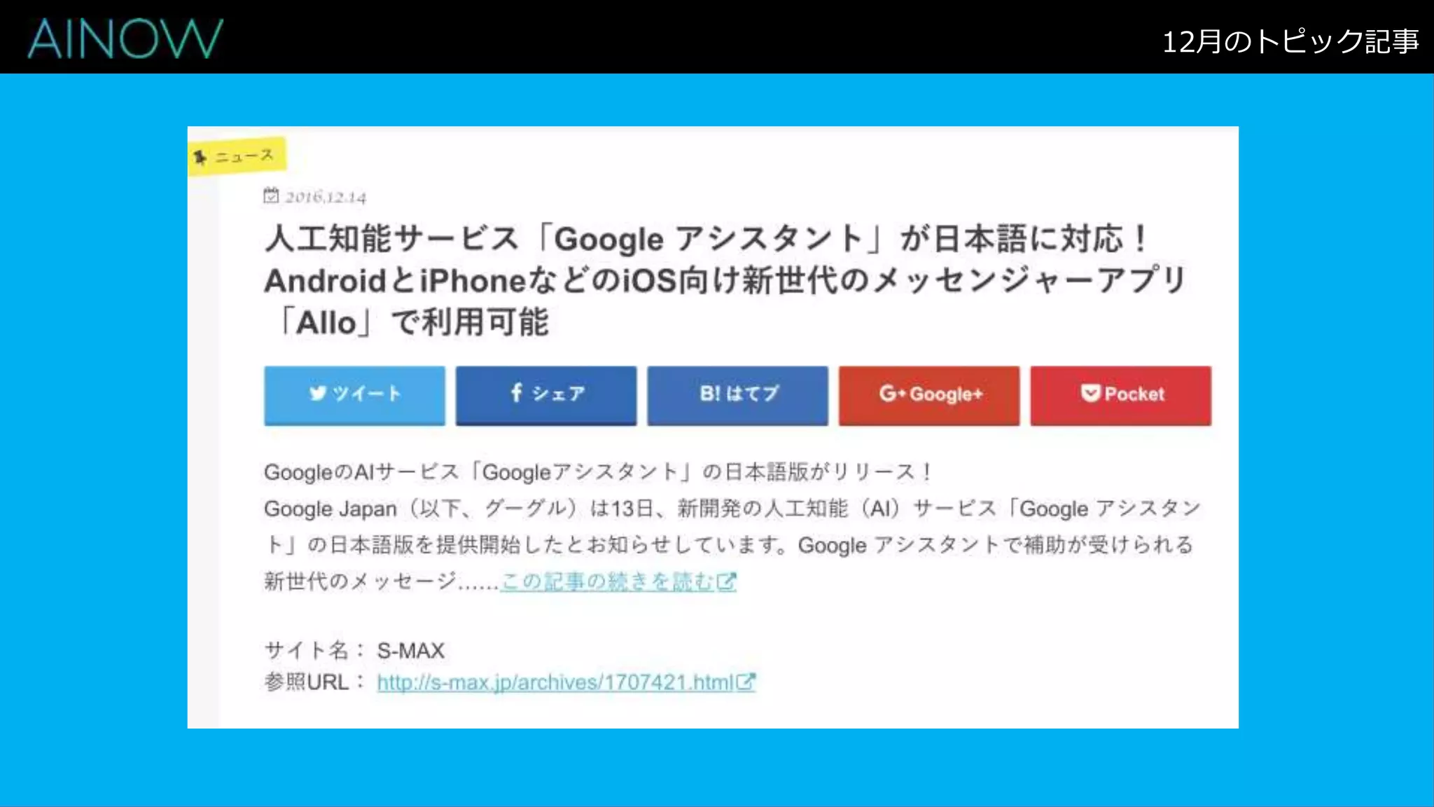 12月のトピック記事
 