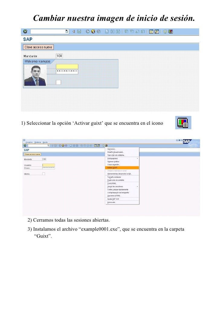 Gui Xt Sap