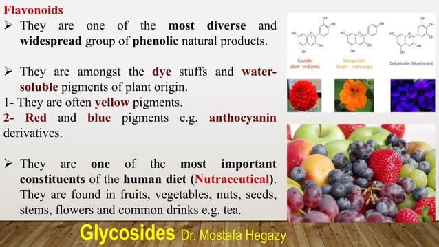 4-_Phenolic_glycosides_-_part__3_flavo_and_misc_.pptx