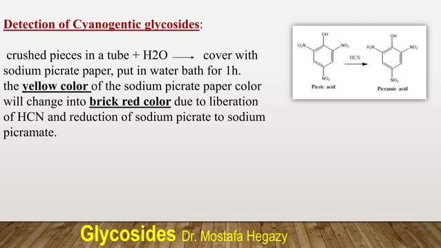 4-_Phenolic_glycosides_-_part__3_flavo_and_misc_.pptx