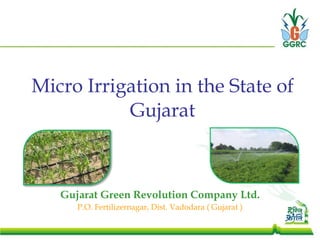 Micro Irrigation in the State of Gujarat Gujarat Green Revolution Company Ltd. P.O. Fertilizernagar, Dist. Vadodara ( Gujarat ) 