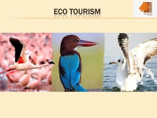 ECO TOURISM
 