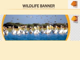 WILDLIFE BANNER
 