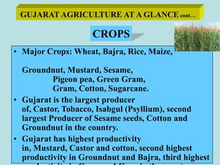 3<br />GUJARAT AGRICULTURE AT A GLANCE cont…<br />CROPS<br /><ul><li>Major Crops: Wheat, Bajra, Rice, Maize, 			        Gr...
