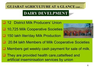 5<br />GUJARATAGRICULTURE AT A GLANCE cont…<br />ANIMAL HUSBANDRY<br />Contribute 5 % of GDP of the State<br />