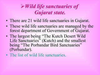 Wild life sanctuaries of  Gujarat state. There are 21 wild life sanctuaries in Gujarat. These wild life sanctuaries are managed by the forest department of Government of Gujarat. The largest being “The Kutch Desert Wild Life Sanctuaries” (Kutch) and the smallest being “The Porbandar Bird Sanctuaries” (Porbandar). The list of wild life sanctuaries. 