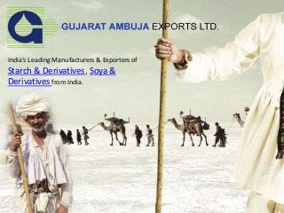India's Leading Manufacturers & Exporters of
Starch & Derivatives, Soya &
Derivatives from India.
 