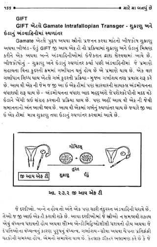 How to Have a Baby - Gujarati edition