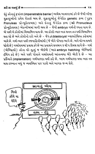 How to Have a Baby - Gujarati edition