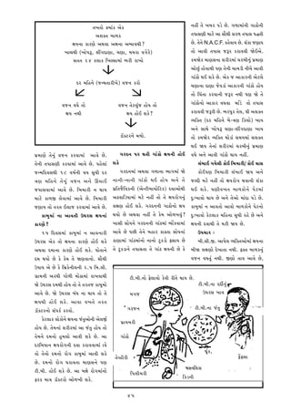 t¼Q¼t¼¼Ì Oû¼¼ZK @¼ÌK                                                      ‡¼°Ã t¼Ì Q¼ù¼• Š¼mÌ Ì. S¼º¼¼û¼¼Z‡¼Â S¼¼k¼Ì‡¼Â
                                         @¼£¼Lt¼ ù¼¼º¼K                                                          t¼Š¼¼¬¼r¼Â û¼¼hÌ @¼¼ ¬¼¼Ðx¼Â ¬¼•º¼ t¼Š¼¼¬¼ Š¼~t¼Â
                           P¼ü¼‡¼¼ K¼•r¼Ì @¼x¼¡¼¼ @¼‰¼‡¼¼ @¼ú¼¼¡¼x¼Â?                                            Ì. t¼Ì‡¼Ì N.A.C.F. K°Ì¡¼¼ü¼ Ì. £¼ZK¼ ]r¼¼ü¼
                      Q¼¼ƒ¼x¼Â (Q¼¼ÌŠ¼—, £¼ÃS¼y¼r¼¼, [¼r¼¼, û¼û¼•¼ ¡¼S¼Ì•Ì)                                      t¼¼Ì @¼¼¡¼Â t¼Š¼¼¬¼ ]—• K•¼¡¼¡¼Â ^ÌC@¼Ì.
                            ¬¼t¼t¼ 24 Kÿ¼¼K ½Q¼¬¬¼¼û¼¼Z ú¼•Â •¼Q¼¼Ì                                              Kû¼^Ì• û¼¼r¼¬¼‡¼¼ £¼•Â•û¼¼Z [¼•ù¼Â‡¼ÆZ Š¼œû¼¼r¼
                                                                                                                 @¼¼ÌÆZ °¼Ì¡¼¼x¼Â Š¼r¼ t¼Ì‡¼Â [¼¼û¼mÂ ‡¼Â[¼Ì @¼¼¡¼Â
                                                                                                                 S¼¼Zk¼Ì x¼C £¼KÌ Ì. @¼ÌK ] @¼¼K¼•‡¼Â @¼Ìhÿ¼Ì
                              y• û¼½°‡¼Ì (]‡û¼t¼¼•ÂQ¼Ì) ¡¼]‡¼ K•¼Ì                                               [¼r¼¼‡¼¼ y¼r¼¼ ]Ì¡¼m¼Z @¼¼K¼•‡¼Â S¼¼Zk¼Ì °¼Ìü¼
                                                                                                                 t¼¼Ì ½[¼Zt¼¼ K•¡¼¼‡¼Â ]—• ‡¼x¼Â Š¼r¼ ^Ì t¼Ì
                    ¡¼]‡¼ ¡¼†¼Ì t¼¼Ì                       ¡¼]‡¼ t¼Ìhÿ¼ÆZ] °¼Ìü¼ t¼¼Ì                            S¼¼Zk¼Ì‡¼¼Ì @¼¼K¼• ¡¼†¼¡¼¼ û¼¼ZmÌ t¼¼Ì t¼Š¼¼¬¼
                      P¼ü¼ ‡¼x¼Â                               P¼ü¼ °¼ÌC £¼KÌ?                                   K•¼¡¼¡¼Â ]—•Â Ì. ú¼•Š¼È• t¼Ìÿ¼, T¼Â @¼£¼Lt¼
                                                                                                                 ¡ü¼½Lt¼ (y• û¼½°‡¼Ì ù¼Ì-w¼r¼ ½Kÿ¼¼Ì) Q¼¼ü¼
                                                                                                                 @¼‡¼Ì ¬¼¼x¼Ì Q¼¼ÌŠ¼— [¼r¼¼-£¼ÃS¼y¼r¼¼ Q¼¼ü¼
                                                               m¼ÖLh•‡¼Ì û¼º¼¼Ì.                                 t¼¼Ì Kû¼^Ì• ¡ü¼½Lt¼ x¼¼Ìm¼Z ¬¼û¼ü¼û¼¼Z ¬¼£¼Lt¼
                                                                                                                 x¼C ^ü¼ t¼Ì‡¼¼Z £¼•Â•û¼¼Z [¼•ù¼Â‡¼ÆZ Š¼œû¼¼r¼
Š¼œû¼¼r¼Ì t¼Ì‡¼ÆZ ¡¼]‡¼ K•¡¼¼û¼¼Z @¼¼¡¼Ì Ì.                   S¼•y‡¼ Š¼• x¼t¼Â S¼¼Zk¼Ì P¼ü¼‡¼Â °¼ÌC             ¡¼†¼Ì @¼‡¼Ì @¼¼¡¼Â S¼¼Zk¼Ì x¼¼ü¼ ‡¼°Ã.
t¼Ì‡¼Â t¼Š¼¼¬¼r¼Â K•¡¼¼û¼¼Z @¼¼¡¼Ì Ì. Š¼°Ìÿ¼¼Z         £¼KÌ                                                           ÿ¼Zù¼¼C S¼ü¼Ìÿ¼Â K¼ÌC ½ù¼û¼¼•Â/ K¼ÌC w¼¼¬¼
]‡û¼½y¡¼¬¼x¼Â 18 ¡¼©¼™‡¼Â ¡¼ü¼ ¬¼Æ†¼Â y•                      S¼•y‡¼û¼¼Z @¼x¼¡¼¼ S¼º¼¼‡¼¼ ú¼¼S¼û¼¼Z ^Ì                 K¼ÌCŠ¼r¼ ½ù¼û¼¼•Â ÿ¼Zù¼¼C ^ü¼ @¼‡¼Ì
w¼r¼ û¼½°‡¼Ì t¼Ì ‡¼Æ Z ¡¼]‡¼ @¼‡¼Ì H[¼¼C                ‡¼¼‡¼Â-‡¼¼‡¼Â S¼¼Zk¼Ì x¼C °¼Ìü¼ @¼‡¼Ì t¼Ì                ]ÿyÂ û¼hÌ ‡¼°Ã t¼¼Ì P¼ü¼•¼ÌS¼ x¼¡¼¼‡¼Â £¼ZK¼
]Š¼¼¬¼¡¼¼û¼¼Z @¼¼¡¼Ì Ì. ½ù¼û¼¼•Â ‡¼ x¼¼ü¼              Š¼œ½t¼]Ð½¡¼K‡¼Â (@¼Ì‡hÂù¼¼ü¼¼Ì½hK) y¡¼¼@¼¼Ìx¼Â           x¼C £¼KÌ. T¼r¼Â¡¼Q¼t¼ ù¼¼º¼K¼Ì‡¼Ì Š¼Ìhû¼¼Z
û¼¼hÌ K¼º¼_ ÿ¼Ì¡¼¼û¼¼Z @¼¼¡¼Ì Ì. ½ù¼û¼¼•Â              @¼k¡¼¼½mü¼¼û¼¼Z û¼hÌ ‡¼°Ã t¼¼Ì t¼Ì P¼ü¼•¼ÌS¼‡¼ÆZ         yÆ:Q¼¼¡¼¼Ì x¼¼ü¼ Ì @¼‡¼Ì t¼Ì@¼¼Ì û¼¼Zy¼ Š¼mÌ Ì.
]r¼¼ü¼ t¼¼Ì t¼•t¼ Cÿ¼¼] K•¡¼¼û¼¼Z @¼¼¡¼Ì Ì.            ÿ¼P¼r¼ °¼ÌC £¼KÌ. S¼•y‡¼‡¼Â S¼¼k¼Ì‡¼¼Ì P¼ü¼              K¼ù¼Æû¼¼Z ‡¼ @¼¼¡¼t¼¼Ì @¼¼¡¼¼Ì ù¼¼º¼K¼Ì‡¼Ì Š¼Ìh‡¼¼Ì
      K¼ù¼Æû¼¼Z ‡¼¼ @¼¼¡¼t¼Â E†¼•¬¼ P¼ü¼‡¼¼Z            x¼ü¼¼Ì Ì @¼x¼¡¼¼ ‡¼°Ã t¼Ì KÌû¼ @¼¼Ìº¼Q¼¡¼ÆZ?            yÆ:Q¼¼¡¼¼Ì KÌhÿ¼¼K û¼½°‡¼¼ ¬¼Æ†¼Â •°Ì Ì @¼‡¼Ì
K¼•r¼Ì?                                                 Q¼¼¬¼Â ¬¼¼Ìü¼‡¼Ì S¼•y‡¼‡¼Â S¼¼Zkû¼¼Z ú¼¼ÍK¡¼¼û¼¼Z        P¼ü¼‡¼Â y¡¼¼x¼Â t¼Ì û¼hÂ ^ü¼ Ì.
      15 ½y¡¼¬¼û¼¼Z K¼ù¼Æû¼¼Z ‡¼ @¼¼¡¼‡¼¼•Â             @¼¼¡¼Ì Ì Š¼Â t¼Ì‡¼Ì ù¼°¼• K¼pt¼¼ ¬¼¼Ìü¼‡¼¼Z                  EŠ¼[¼¼• :
E†¼•¬¼ @¼ÌK t¼¼Ì P¼ü¼‡¼¼ K¼•r¼Ì °¼ÌC £¼KÌ               K¼r¼¼û¼¼Z S¼¼Zkû¼¼Z‡¼¼Ì ‡¼¼‡¼¼Ì hÆKm¼Ì ö¬¼¼ü¼ Ì               ù¼Â.¬¼Â._. @¼¼Š¼Ìÿ¼ ¡ü¼½Lt¼@¼¼Ìû¼¼Z P¼ü¼‡¼¼
@¼x¼¡¼¼ yû¼¼‡¼¼ K¼•r¼Ì °¼ÌC £¼KÌ. Š¼¼Ìt¼¼‡¼Ì            t¼Ì hÆKm¼‡¼Ì t¼Š¼¼¬¼t¼¼ t¼Ì S¼¼Zk P¼ü¼‡¼Â Ì KÌ          ù¼Â^ ÿ¼P¼r¼¼Ì yÌQ¼¼t¼¼ ‡¼x¼Â. öLt¼ ù¼¼º¼K‡¼ÆZ
yû¼ x¼ü¼¼Ì Ì KÌ KÌû¼ t¼Ì ^r¼¡¼¼‡¼¼Ì. ¬¼¼Ðx¼Â                                                                    ¡¼]‡¼ ¡¼†¼t¼ÆZ ‡¼x¼Â. _r¼¼Ì t¼¼¡¼ @¼¼¡¼Ì Ì,
EŠ¼¼ü¼ @¼Ì Ì KÌ ½ù¼œKÌ‡¼Âÿ¼‡¼Â 2.5 ½û¼.ÿ¼Â.
S¼œ¼û¼‡¼Â @¼•†¼Â S¼¼Ìº¼Â û¼¼Ìp¼û¼¼Z •¼Q¼¡¼¼x¼Â                           hÂ.ù¼Â.‡¼¼Ì öÌÿ¼¼¡¼¼Ì KÌ¡¼Â •Ât¼Ì x¼¼ü¼ Ì.
^Ì E†¼•¬¼ yû¼x¼Â °¼Ìü¼ t¼¼Ì t¼Ì t¼•t¼] K¼ù¼Èû¼¼Ì                                                                         hÂ.ù¼Â.‡¼¼ yyÄ‡¼ÆZ
@¼¼¡¼Ì Ì. ^Ì E†¼•¬¼ ù¼Z†¼ ‡¼¼ x¼¼ü¼ t¼¼Ì t¼Ì                            û¼S¼]                                             E†¼•¬¼ Q¼¼¡¼
P¼ü¼x¼Â °¼ÌC £¼KÌ. @¼¼¡¼¼ ¡¼Q¼t¼Ì t¼•t¼
m¼ÖLh•‡¼¼Ì ¬¼ZŠ¼K™ K•¡¼¼Ì.                                          S¼•]‡¼                                             hÂ.ù¼Â.‡¼¼ ]Zt¼Æ
      KÌhÿ¼¼K ÿ¼¼ÌK¼Ì‡¼Ì P¼ü¼‡¼¼ ]Zt¼Æ@¼¼Ì‡¼Â @¼Ìÿ¼_™          Š¼œ¼ü¼û¼•Â
°¼Ìü¼ Ì. t¼Ìû¼‡¼¼Z £¼•Â•û¼¼Z @¼¼ ]Zt¼Æ °¼Ìü¼ t¼¼Ì
t¼Ìû¼‡¼Ì yû¼‡¼¼Ì °Æû¼ÿ¼¼Ì @¼¼¡¼Â £¼KÌ Ì. @¼¼                  S¼¼Zk¼Ì
y•½û¼ü¼¼‡¼ P¼ü¼•¼ÌS¼‡¼Â y¡¼¼ K•¼¡¼¡¼¼û¼¼Z ¼¡¼Ì
t¼¼Ì t¼Ì‡¼¼Ì yû¼‡¼¼Ì •¼ÌS¼ K¼ù¼Æû¼¼Z @¼¼¡¼Â £¼KÌ                                                                             x¼ÈZK,
                                                         t¼Ì¡°Â•Â                                                                                 öÍö¬¼¼
Ì. yû¼‡¼¼Ì •¼ÌS¼ †¼•¼¡¼t¼¼ û¼¼r¼¬¼‡¼Ì Š¼r¼
hÂ.ù¼Â. °¼ÌC £¼KÌ Ì. @¼¼ ù¼‰¼Ì •¼ÌS¼û¼¼Z‡¼¼Ì                                                                §¼¬¼‡¼½ÿ¼K¼
                                                                         ½Š¼ÿ¼Âû¼•Â
ö•K û¼¼w¼ m¼ÖLh•¼Ì @¼¼Ìº¼Q¼Â £¼KÌ.                                                                          ½Km‡¼Â

                                                                    45
 