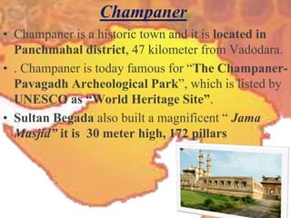Champaner.
• Champaner is a historic town and it is located in
Panchmahal district, 47 kilometer from Vadodara.
• . Champaner is today famous for “The Champaner-
Pavagadh Archeological Park”, which is listed by
UNESCO as “World Heritage Site”.
• Sultan Begada also built a magnificent “ Jama
Masjid” it is 30 meter high, 172 pillars
 