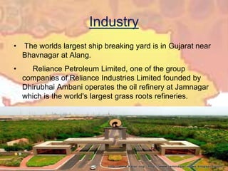 Industry
• The worlds largest ship breaking yard is in Gujarat near
Bhavnagar at Alang.
• Reliance Petroleum Limited, one of the group
companies of Reliance Industries Limited founded by
Dhirubhai Ambani operates the oil refinery at Jamnagar
which is the world's largest grass roots refineries.
 