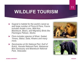 WILDLIFE TOURISM
 Gujarat is habitat for the world’s rarest as
well large number of Fluna & Flora, Fauna
includes Asiatic Lions, Wild Ass,
Blackbuck, Bears, and Migratory Birds like
Flamingos Pelican, Storks.
 Flora includes species of Khair, Sadad,
Timaru, Babul, Salai, Khakro and many
more.
 Sanctuaries at Gir National Parl, Gulf of
Kutch, Vansda National Park, Nalsaovar
Bird Sanctuary and Blackbuck National
Park, Velavadar.
4/25/2019ADAMAS UNIVERSITY
11
 