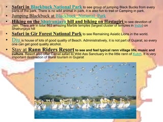 • Safari in Blackbuck National Park to see group of jumping Black Bucks from every
parts of the park. There is no wild animal in park, it is also fun to trail or Camping in park.
• Jumping Blackbuck at Blackbuck_National_Park
• Hiking on the Shatrunjaya hill and biking on Hastagiri to see devotion of
Jain. There are in total 863 amazing Marble temples (largest cluster of temples in India) on
Shatrunjaya hill
• Safari in Gir Forest National Park to see Remaining Asiatic Lions in the world.
• Diu is house of lots of good quality of Beach. Administratively, it is not part of Gujarat, so every
one can get good quality alcohol.
• Stay at Rann Riders Resort to see and feel typical rann village life, music and
culture. Resort also offer Camel safari to Wild Ass Sanctuary in the little rann of Kutch. It is very
important destination of Rural tourism in Gujarat
 