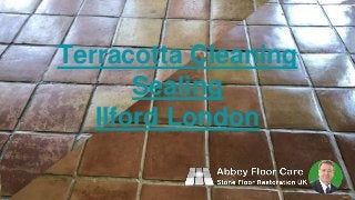 Terracotta Cleaning
Sealing
Ilford London
 