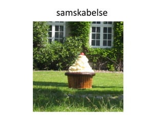 samskabelse
 