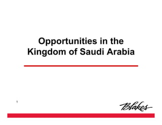 Opportunities in the
    Kingdom of Saudi Arabia




1
 