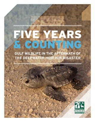 5GULF WILDLIFE IN THE AFTERMATH OF
THE DEEPWATER HORIZON DISASTER
FIVE YEARS
& COUNTING
 