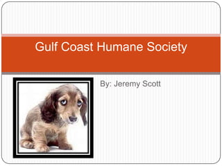                    By: Jeremy Scott Gulf Coast Humane Society 