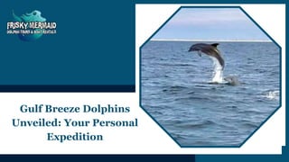 Gulf Breeze Dolphins
Unveiled: Your Personal
Expedition
 