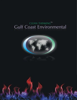 Gulf coast environmental systems overview