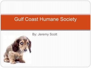 By: Jeremy Scott
Gulf Coast Humane Society
 