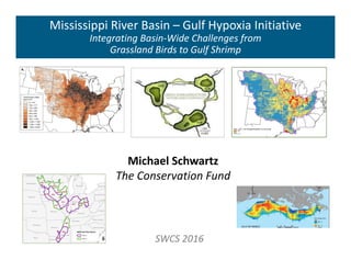 Mississippi River Basin – Gulf Hypoxia Initiative
Integrating Basin‐Wide Challenges from 
Grassland Birds to Gulf Shrimp
SWCS 2016
Michael Schwartz
The Conservation Fund
 