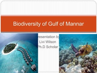 Presentation by
Livi Wilson
Ph.D Scholar
Biodiversity of Gulf of Mannar
 