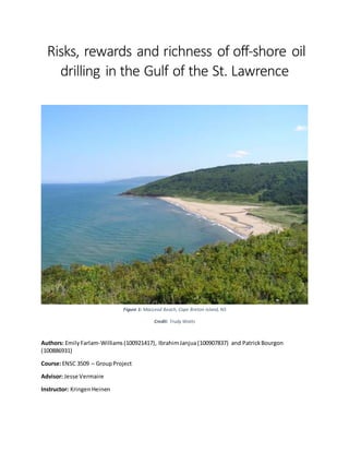 Risks, rewards and richness of off-shore oil
drilling in the Gulf of the St. Lawrence
Authors: EmilyFarlam-Williams(100921417), IbrahimJanjua(100907837) and PatrickBourgon
(100886931)
Course:ENSC 3509 – GroupProject
Advisor: Jesse Vermaire
Instructor: KringenHeinen
Figure 1: MacLeod Beach, Cape Breton Island, NS
Credit: Trudy Watts
 