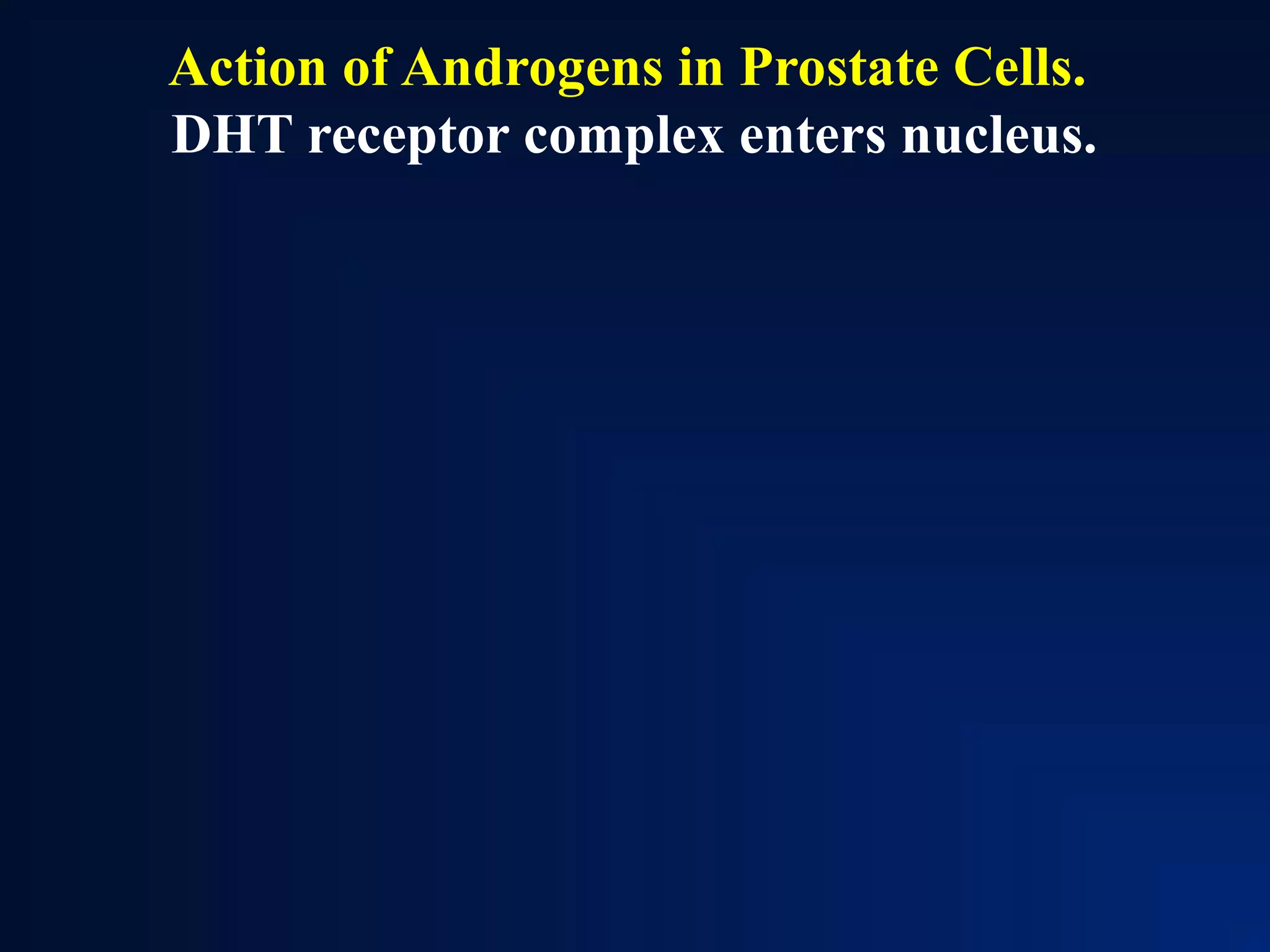 Action of Androgens in Prostate Cells.
DHT receptor complex enters nucleus.
 