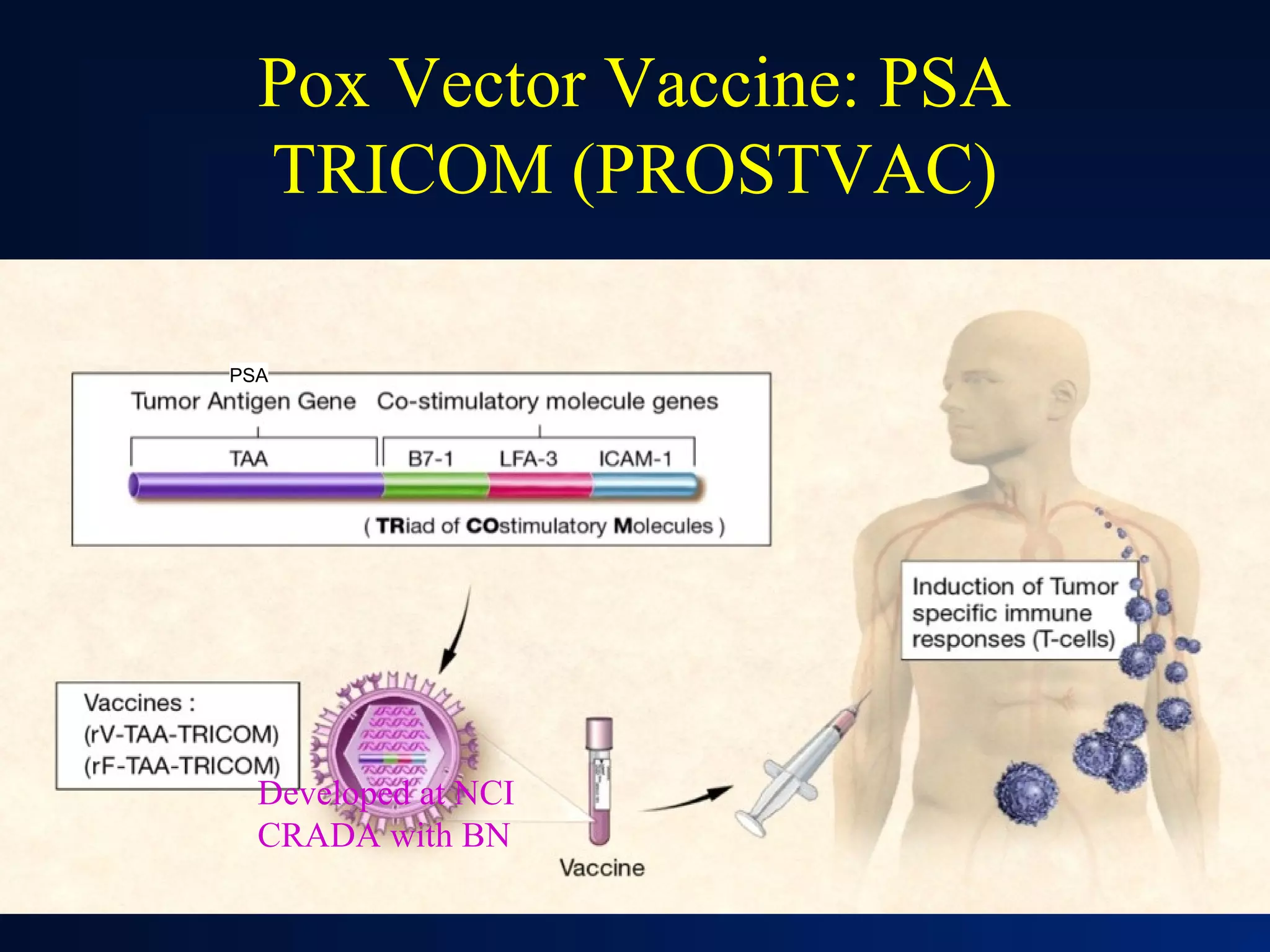 Pox Vector Vaccine: PSA
  TRICOM (PROSTVAC)

PSA




  Developed at NCI
  CRADA with BN
                            67
 