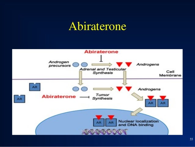 Bicalutamide Free Trial