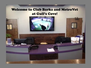 Welcome to Club Barks and MetroVet
          at Gull’s Cove!
 