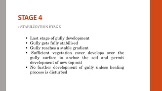 STAGE 4
• STABILIZATION STAGE
 Last stage of gully development
 Gully gets fully stabilised
 Gully reaches a stable gradient
 Sufficient vegetation cover develops over the
gully surface to anchor the soil and permit
development of new top soil
 No further development of gully unless healing
process is disturbed
 