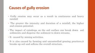 Causes of gully erosion
• Gully erosion may occur as a result in continuous and heavy
rainfall
• The greater the intensity and duration of a rainfall, the higher
and erosion potential.
• The impact of raindrops on the soil surface can break down soil
sediments and disperse the sediment to down streams.
• It caused by mining activities.
• It is also caused by farming and uncontrolled grazing practices,it
breaks up soil and softens the overall structure.
 