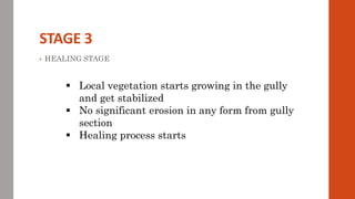 STAGE 3
• HEALING STAGE
 Local vegetation starts growing in the gully
and get stabilized
 No significant erosion in any form from gully
section
 Healing process starts
 