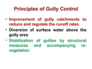 Comprehensive Overview of Gully Erosion: Causes, Development, and ...